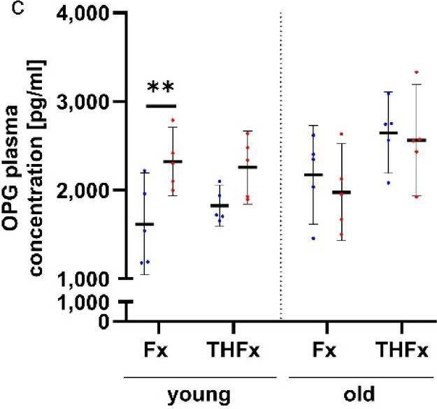 Fig.6.C showing Enzyme-linked immunosorbent assay in a Mus musculus (House mouse) sample from the publication: A single acute alcohol intoxication before fracture insult causes long-term elevated systemic RANKL and OPG levels in young adult mice.