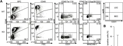 Fig.6.A showing Flow cytometry/Cell sorting from the publication: BILL-cadherin/cadherin-17 contributes to the survival of memory B cells.