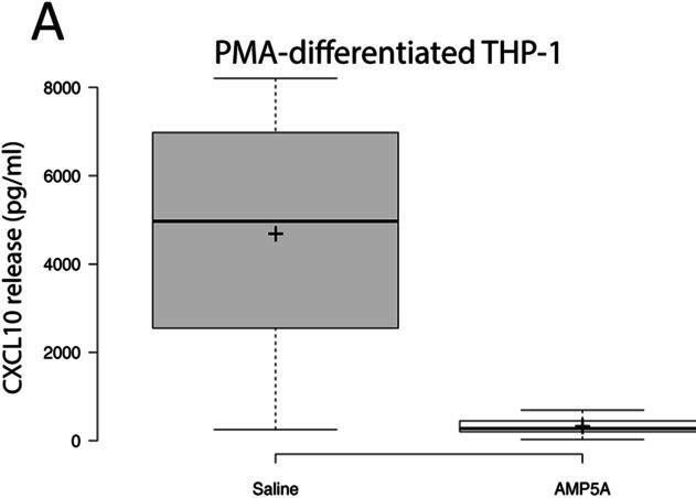 Fig.3.A showing Enzyme-linked immunosorbent assay from the publication: AMP5A modulates Toll-like receptors 7 and 8 single-stranded RNA immune responses in PMA-differentiated THP-1 and PBMC.