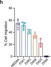 Fig.1.H from the publication: A neurodevelopmental epigenetic programme mediated by SMARCD3-DAB1-Reelin signalling is hijacked to promote medulloblastoma metastasis.