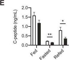 Fig.2.E showing Enzyme-linked immunosorbent assay from the publication: Deficiency of the metabolic enzyme SCHAD in pancreatic β-cells promotes amino acid-sensitive hypoglycemia.