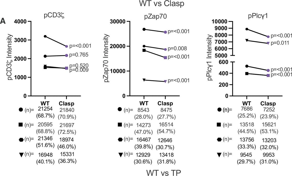 Fig.6.A showing Flow cytometry/Cell sorting in a Mus musculus (House mouse) sample from the publication: Enhancing and inhibitory motifs regulate CD4 activity.