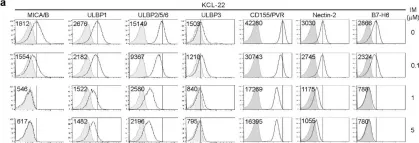 Fig.2.A showing Flow cytometry/Cell sorting from the publication: PVR and ICAM-1 on Blast Crisis CML Stem and Progenitor Cells with TKI Resistance Confer Susceptibility to NK Cells.