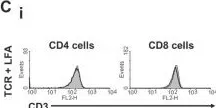 Fig.6.C showing Flow cytometry/Cell sorting from the publication: Transient combination therapy targeting the immune synapse abrogates T cell responses and prolongs allograft survival in mice.