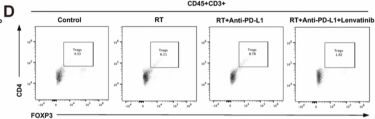 Fig.4.D showing Flow cytometry/Cell sorting from the publication: Lenvatinib potentiates the antitumor efficacy of combined radiotherapy and PD-L1 blockade in lung adenocarcinoma.