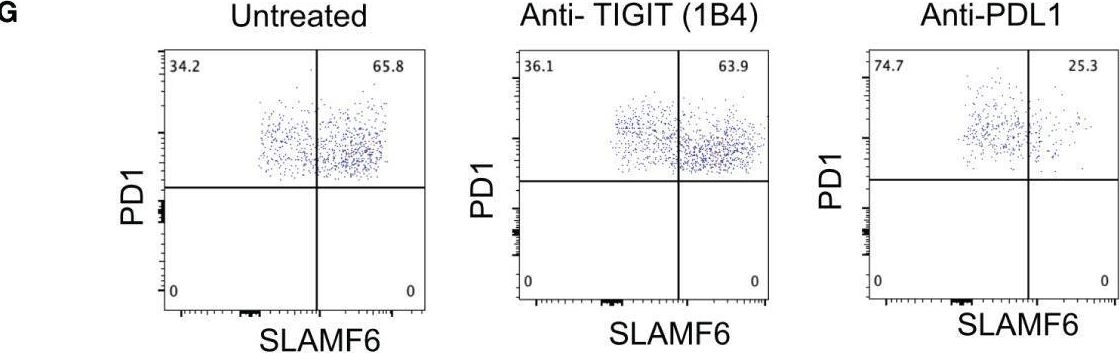 Fig.5.G showing Flow cytometry/Cell sorting in a Mus musculus (House mouse) sample from the publication: TIGIT acts as an immune checkpoint upon inhibition of PD1 signaling in autoimmune diabetes.