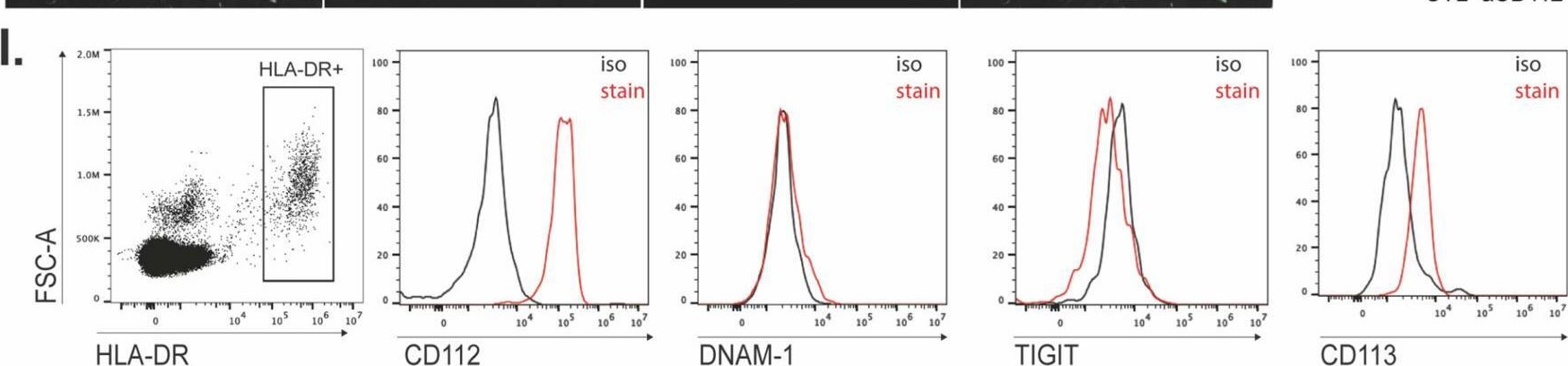 Fig.5.I showing Flow cytometry/Cell sorting from the publication: CD112 Supports Lymphatic Migration of Human Dermal Dendritic Cells.
