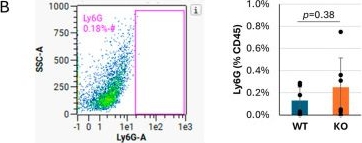 Fig.2.B showing Flow cytometry/Cell sorting in a Mus musculus (House mouse) sample from the publication: Tnni3k Is Cardioprotective in Viral Myocarditis.