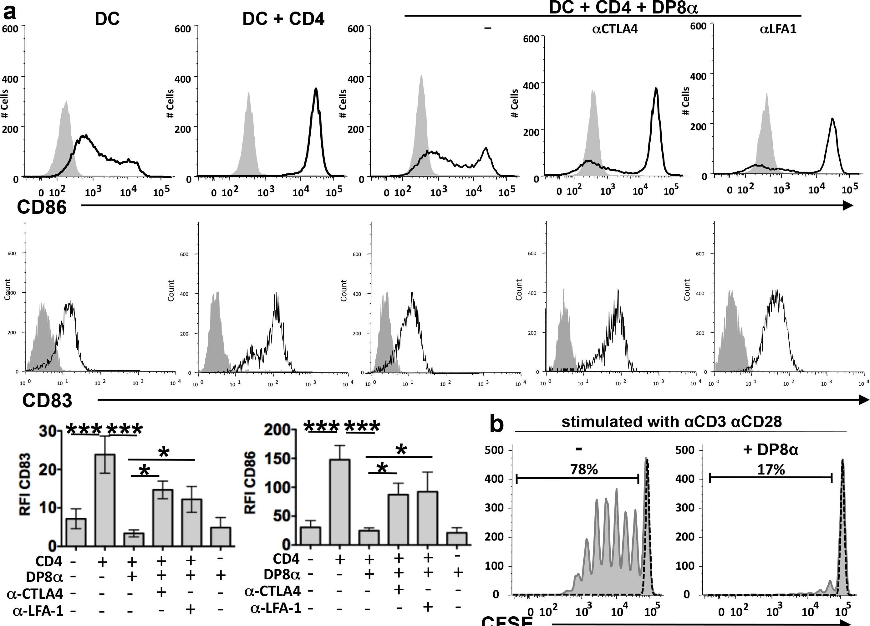 Fig.3.A showing Flow cytometry/Cell sorting in a Homo sapiens (Human) sample from the publication: CD4CD8αα lymphocytes, a novel human regulatory T cell subset induced by colonic bacteria and deficient in patients with inflammatory bowel disease.
