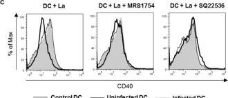 Fig.1.C showing Flow cytometry/Cell sorting from the publication: Leishmania amazonensis-Induced cAMP Triggered by Adenosine A2B Receptor Is Important to Inhibit Dendritic Cell Activation and Evade Immune Response in Infected Mice.