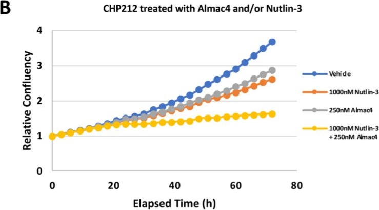 Fig.8.B from the publication: USP7 Inhibition Suppresses Neuroblastoma Growth via Induction of p53-Mediated Apoptosis and EZH2 and N-Myc Downregulation.