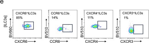 Fig.7.E showing Flow cytometry/Cell sorting in a Mus musculus (House mouse) sample from the publication: Washed microbiota transplantation promotes homing of group 3 innate lymphoid cells to the liver via the CXCL16/CXCR6 axis: a potential treatment for metabolic-associated fatty liver disease.