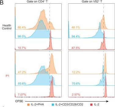 Fig.3.B showing Flow cytometry/Cell sorting from the publication: Epidermodysplasia Verruciformis and Vδ2 γδ T-cell Expansion in STK4 Deficiency.