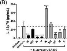 Fig.2.B showing Enzyme-linked immunosorbent assay from the publication: The effect of microbial metabolites from colonic protein fermentation on bacteria-induced cytokine production in dendritic cells.