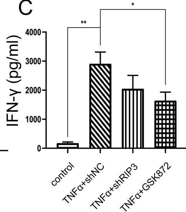 Fig.3.C showing Enzyme-linked immunosorbent assay from the publication: RIP3 knockdown inhibits necroptosis of human intestinal epithelial cells via TLR4/MyD88/NF-κB signaling and ameliorates murine colitis.