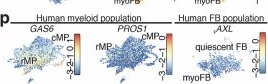Fig.8.P showing Flow cytometry/Cell sorting in a Mus musculus (House mouse) sample from the publication: Spatiotemporal dynamics of the cardioimmune niche during lesion repair.
