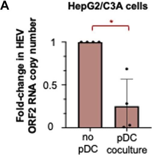 Fig.3.A from the publication: Plasmacytoid dendritic cell sensing of hepatitis E virus is shaped by both viral and host factors.