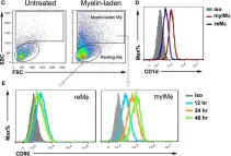 Fig.1.C showing Flow cytometry/Cell sorting from the publication: Abrogation of Endogenous Glycolipid Antigen Presentation on Myelin-Laden Macrophages by D-Sphingosine Ameliorates the Pathogenesis of Experimental Autoimmune Encephalomyelitis.