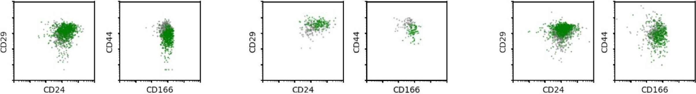Fig.1.D showing Flow cytometry/Cell sorting in a Homo sapiens (Human) sample from the publication: Replication Study: Wnt activity defines colon cancer stem cells and is regulated by the microenvironment.