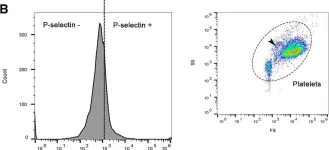 Fig.3.B showing Flow cytometry/Cell sorting from the publication: Canine platelets express functional Toll-like receptor-4: lipopolysaccharide-triggered platelet activation is dependent on adenosine diphosphate and thromboxane A2 in dogs.