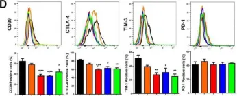 Fig.2.D showing Flow cytometry/Cell sorting from the publication: Immune Checkpoint Blockade via PD-L1 Potentiates More CD28-Based than 4-1BB-Based Anti-Carbonic Anhydrase IX Chimeric Antigen Receptor T Cells.