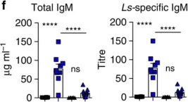 Fig.3.F showing Enzyme-linked immunosorbent assay in a Mus musculus (House mouse) sample from the publication: Fat-associated lymphoid clusters control local IgM secretion during pleural infection and lung inflammation.