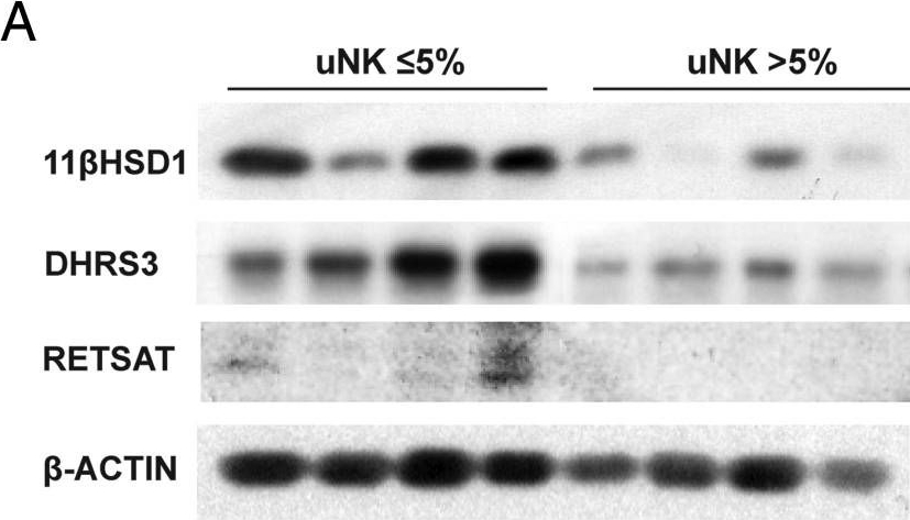 RETSAT antibodies - Antibody search engine - CiteAb