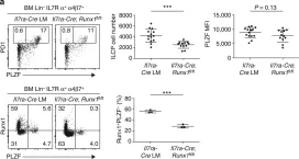 Fig.8.A showing Flow cytometry/Cell sorting in a Mus musculus (House mouse) sample from the publication: A shared Runx1-bound Zbtb16 enhancer directs innate and innate-like lymphoid lineage development.