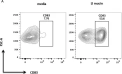 Fig.2.A showing Flow cytometry/Cell sorting from the publication: Intestinal mucin activates human dendritic cells and IL-8 production in a glycan-specific manner.