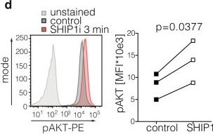 Fig.2.D showing Flow cytometry/Cell sorting from the publication: Targeted PI3K/AKT-hyperactivation induces cell death in chronic lymphocytic leukemia.