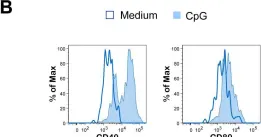 Fig.3.B showing Flow cytometry/Cell sorting from the publication: Major depletion of plasmacytoid dendritic cells in HIV-2 infection, an attenuated form of HIV disease.
