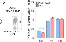 Fig.4.A showing Flow cytometry/Cell sorting from the publication: Correlates of Follicular Helper Bias in the CD4 T Cell Response to a Retroviral Antigen.