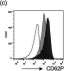 Fig.2.C showing Flow cytometry/Cell sorting in a Homo sapiens (Human) sample from the publication: Ethaninidothioic acid (R5421) is not a selective inhibitor of platelet phospholipid scramblase activity.