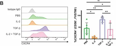 Fig.3.B showing Flow cytometry/Cell sorting from the publication: Transcriptional signature of rapidly responding NK cells reveals S1P5 and CXCR4 as anti-tumor response disruptors.