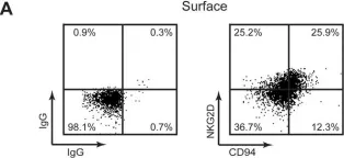 Fig.4.A showing Flow cytometry/Cell sorting from the publication: Regulation and gene expression profiling of NKG2D positive human cytomegalovirus-primed CD4+ T-cells.