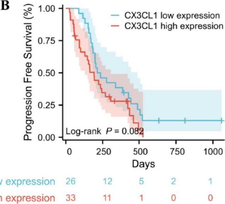 Fig.3.B showing Flow cytometry/Cell sorting in a Homo sapiens (Human) sample from the publication: HCC-derived CX3CL1 affects hepatocellular carcinoma prognosis and CX3CR1 + MDSC infiltration.