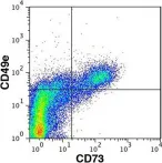 Fig.7.C showing Flow cytometry/Cell sorting in a Homo sapiens (Human) sample from the publication: Extracellular matrix and α5β1 integrin signaling control the maintenance of bone formation capacity by human adipose-derived stromal cells.
