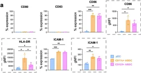 Fig.6.A showing Flow cytometry/Cell sorting in a Homo sapiens (Human) sample from the publication: Characterising plasmacytoid and myeloid AXL+ SIGLEC-6+ dendritic cell functions and their interactions with HIV.