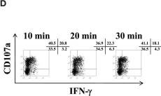 Fig.3.D showing Flow cytometry/Cell sorting from the publication: NK cell isolation from liver biopsies: phenotypic and functional analysis of low cell numbers by flow cytometry.
