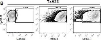 Fig.3.B showing Flow cytometry/Cell sorting in a Mus musculus (House mouse) sample from the publication: Molecular Characterization of Gastric Epithelial Cells Using Flow Cytometry.