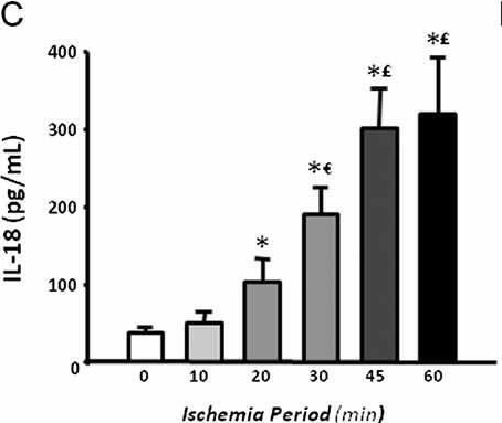 Fig.7.C showing Enzyme-linked immunosorbent assay from the publication: Hsp72 is an early and sensitive biomarker to detect acute kidney injury.