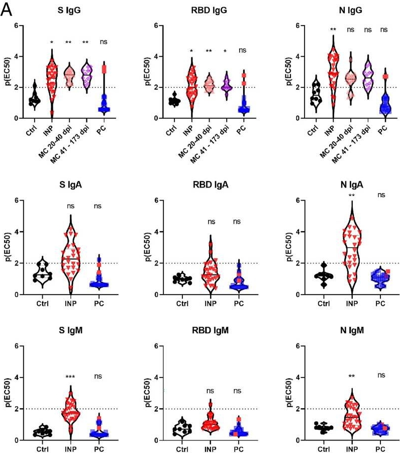 Fig.2.A showing Enzyme-linked immunosorbent assay in a Homo sapiens (Human) sample from the publication: Lack of association between pandemic chilblains and SARS-CoV-2 infection.