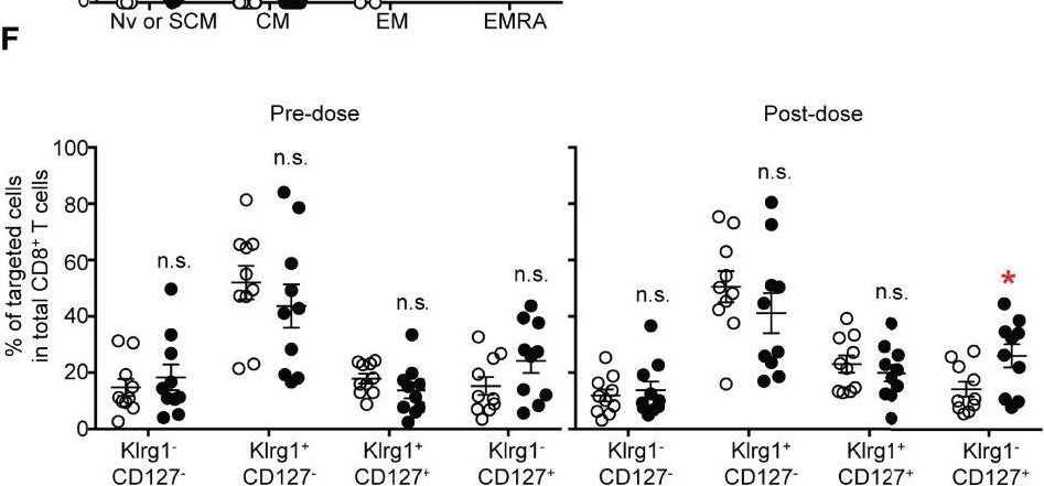 Fig.3.F showing Flow cytometry/Cell sorting from the publication: Markers of Memory CD8 T Cells Depicting the Effect of the BNT162b2 mRNA COVID-19 Vaccine in Japan.