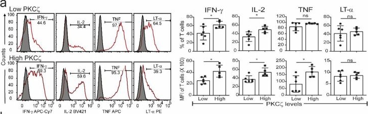 Fig.3.A showing Flow cytometry/Cell sorting in a Homo sapiens (Human) sample from the publication: Cord Blood T Cells Expressing High and Low PKCζ Levels Develop into Cells with a Propensity to Display Th1 and Th9 Cytokine Profiles, Respectively.