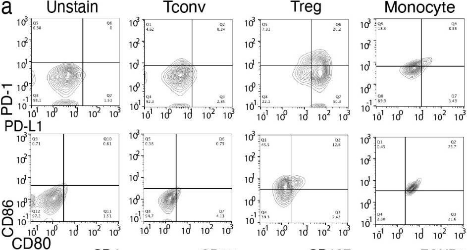 Fig.5.A showing Flow cytometry/Cell sorting in a Homo sapiens (Human) sample from the publication: Full-Length Transcriptome Sequencing Reveals Treg-Specific Isoform Expression upon Activation.