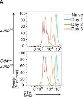 Fig.4.A showing Flow cytometry/Cell sorting from the publication: JunB is required for CD8+ T cell responses to acute infections.