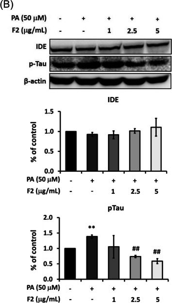 Fig.7.B showing Western Blotting in a Homo sapiens (Human) sample from the publication: Abelmoschus esculentus subfractions attenuate Aβ and tau by regulating DPP-4 and insulin resistance signals.