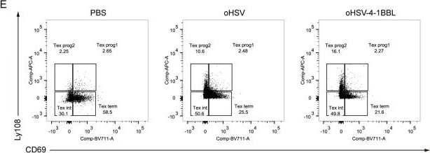 Fig.4.E showing Flow cytometry/Cell sorting in a Mus musculus (House mouse) sample from the publication: 4-1BBL-Armed Oncolytic Herpes Simplex Virus Exerts Antitumor Effects in Pancreatic Ductal Adenocarcinoma.