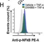 Fig.4.H showing Flow cytometry/Cell sorting in a Homo sapiens (Human) sample from the publication: Neutral sphingomyelinase 2 regulates inflammatory responses in monocytes/macrophages induced by TNF-α.