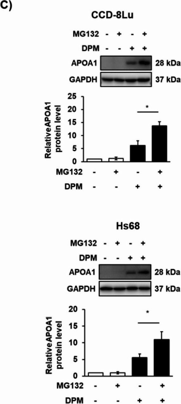 Fig.5.C from the publication: Diesel particulate matter-induced proteomic changes in three-dimensional spheroids derived from human primary cells of various tissue origins.